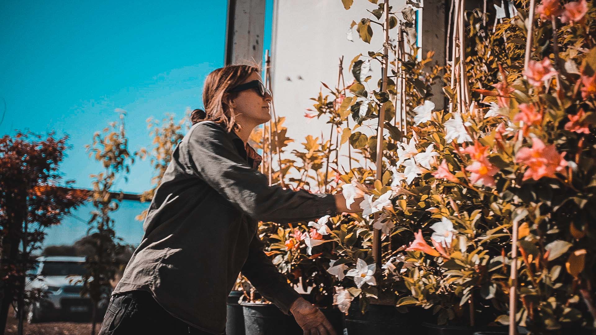 Delivery-Header