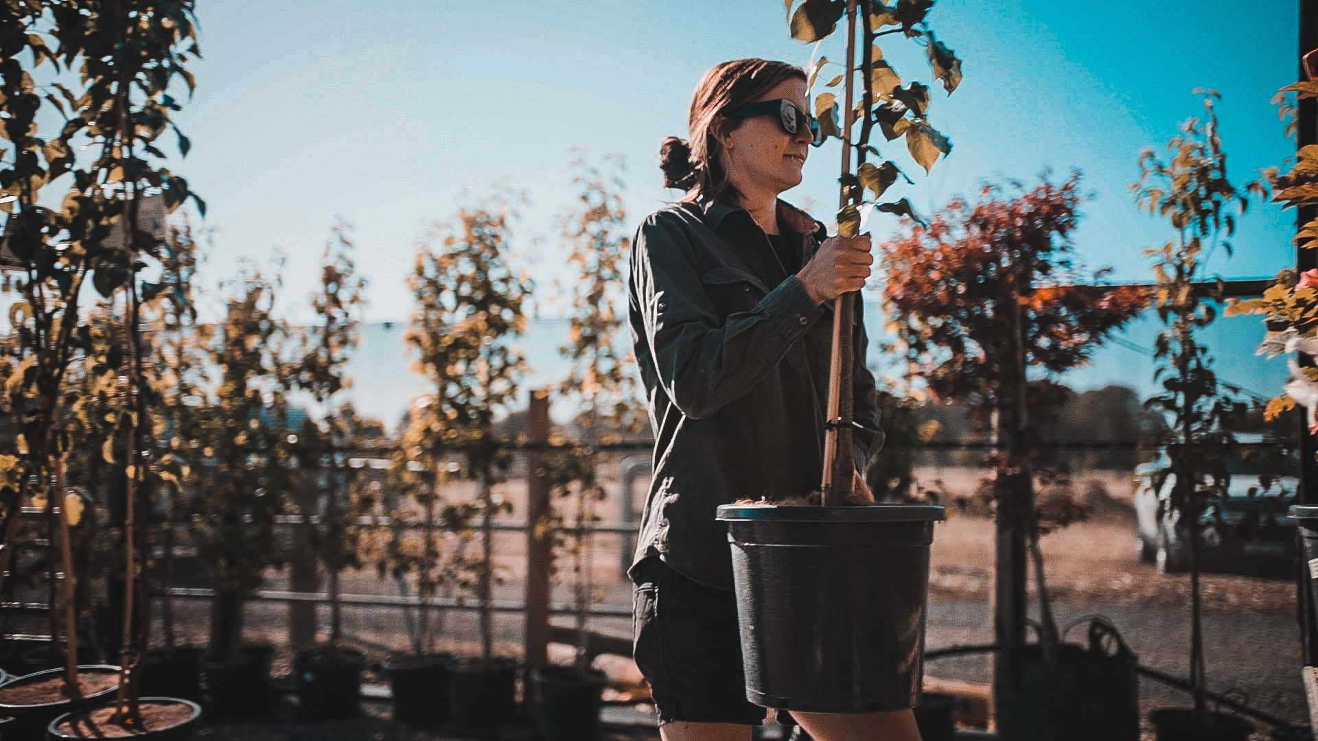 FAQ-Header