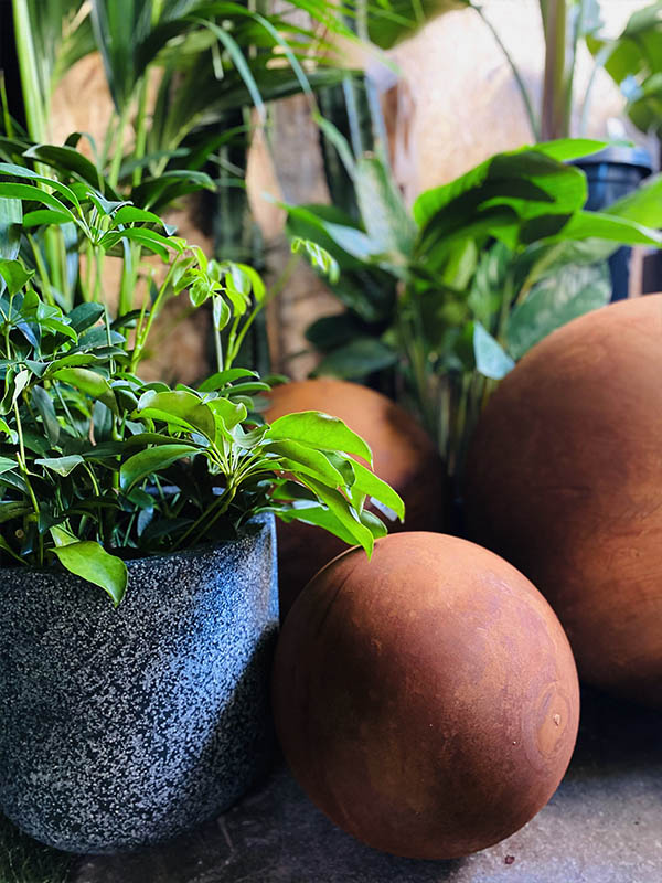 Nursery-plants-contact-3
