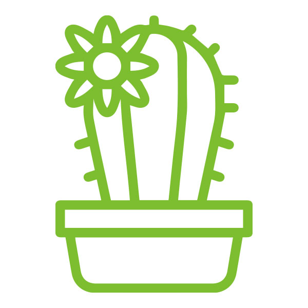 Category Image Cacti & Succulents