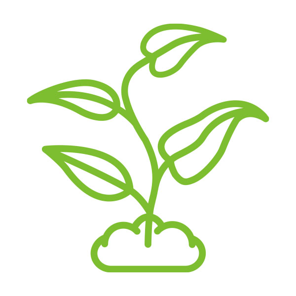 Category Image Bare Root