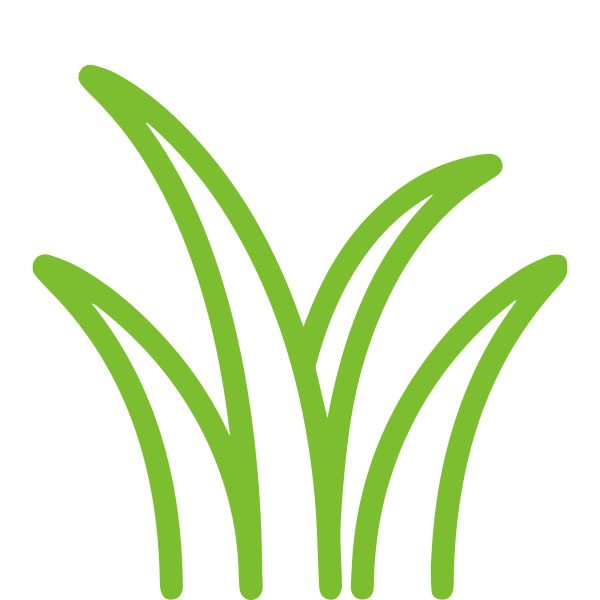 Category Image Grasses
