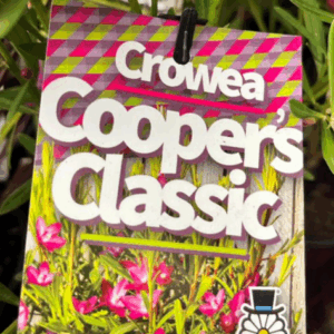 CROWEA 'Cooper's Classic'