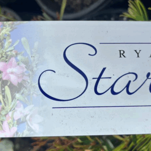 CROWEA 'Ryan's Star'