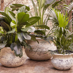 Triton Belly Pots