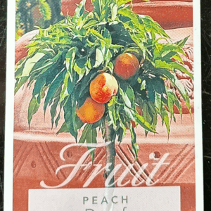 PEACH Dwarf