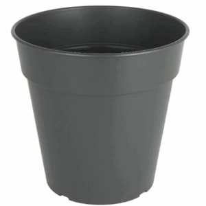 MADAGASCAR POT & SAUCER (PLASTIC)