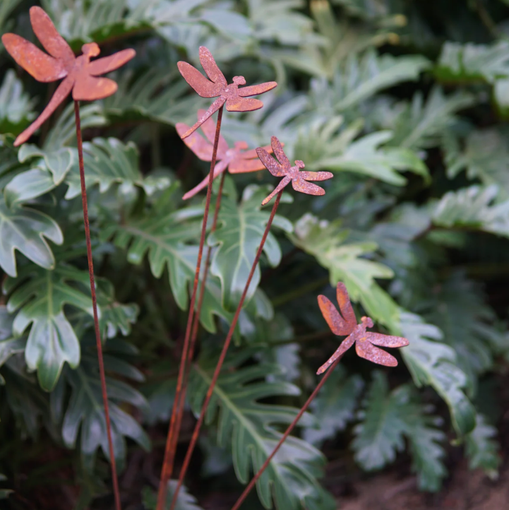 Five dragonflies with stake