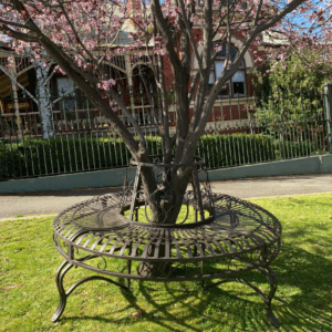 TREE Surround with Bench Varieties