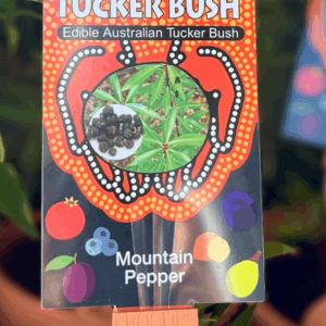 TUCKER BUSH 'Mountain Pepper'