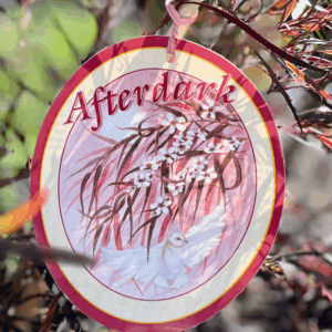 AGONIS flexuosa 'After Dark'