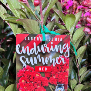 LAGERSTROEMIA 'Enduring Summer Red' (Crepe Myrtle)
