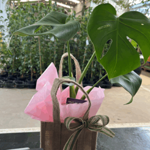 Special Wrapping bags (Jute)