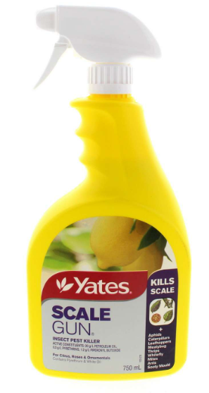 YATES Scale Gun