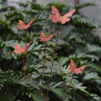 Five butterfiles with stake