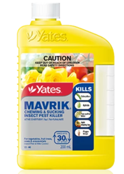YATES Mavrik