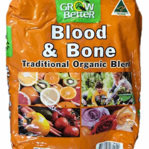 BLOOD & BONE