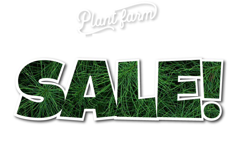 EOFY 2-% Off Sale