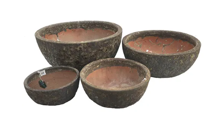 Fossil Portsea Bowl
