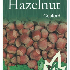 HAZELNUT 'Turkish Cosford'- Universal Pollinator