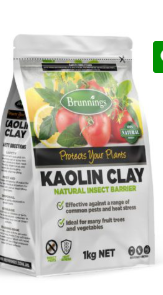 KAOLIN CLAY 1KG