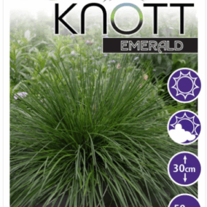 Deschampsia ‘Top Knot Emerald’
