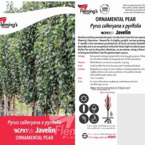 PYRUS 'Javelin' (NCPX1)