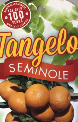 Seminole tangelo