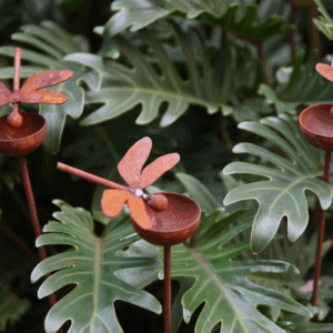 Rain bowl with dragonfly