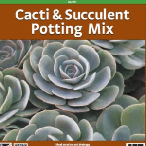 CACTI & SUCCULENT Potting Mix