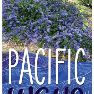 CEANOTHUS 'Pacific Wave'