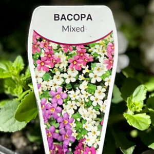 BACOPA Varieties