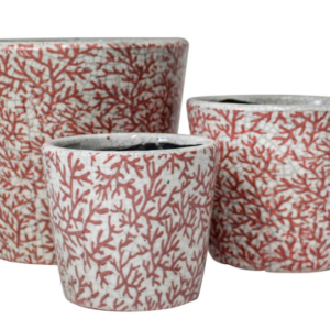 POT - BRANCHING CORAL