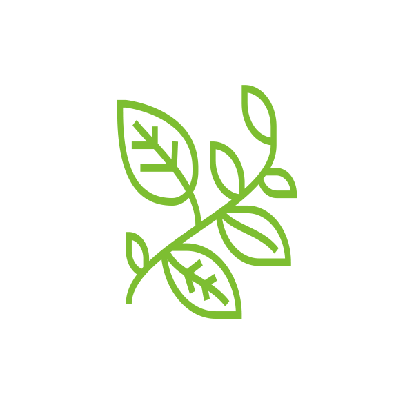 Climbing plant search