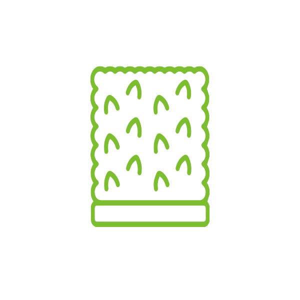 Hedge Plants Types