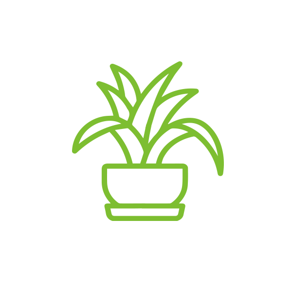 Indoor Plant Search