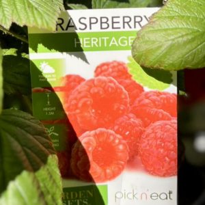 RUBUS (Raspberry) Varieties