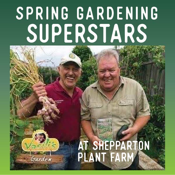 Shepparton Plant Farm Garden Superstars
