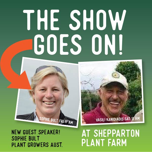 Superstars Sophie Bult