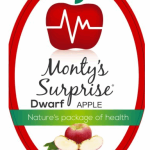 APPLE Dwarf 'Monty's Surprise'