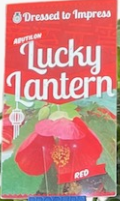 ABUTILON 'Lucky Lantern Pink'