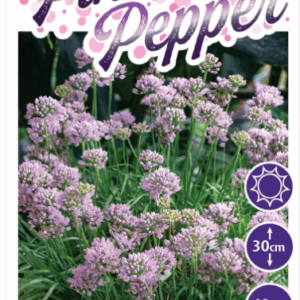 ALLIUM 'Pink Pepper'