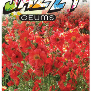 Geum JAZZY ‘Scarlet Tempest’