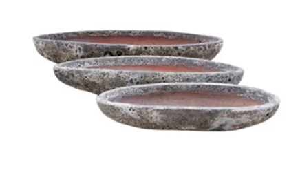 Succulent Boat Oceanic White