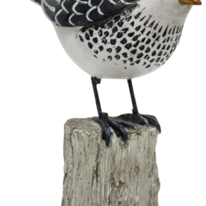 Bird On Stump