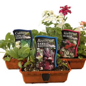 SEEDLING PUNNET