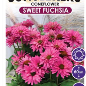 Echinacea ‘Sweet Fuchsia’ SUNSEEKERS®