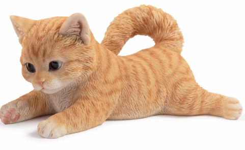 Laying Playful Kitten