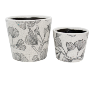 Pot - Ginko