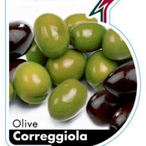 OLIVE 'Correggiola'